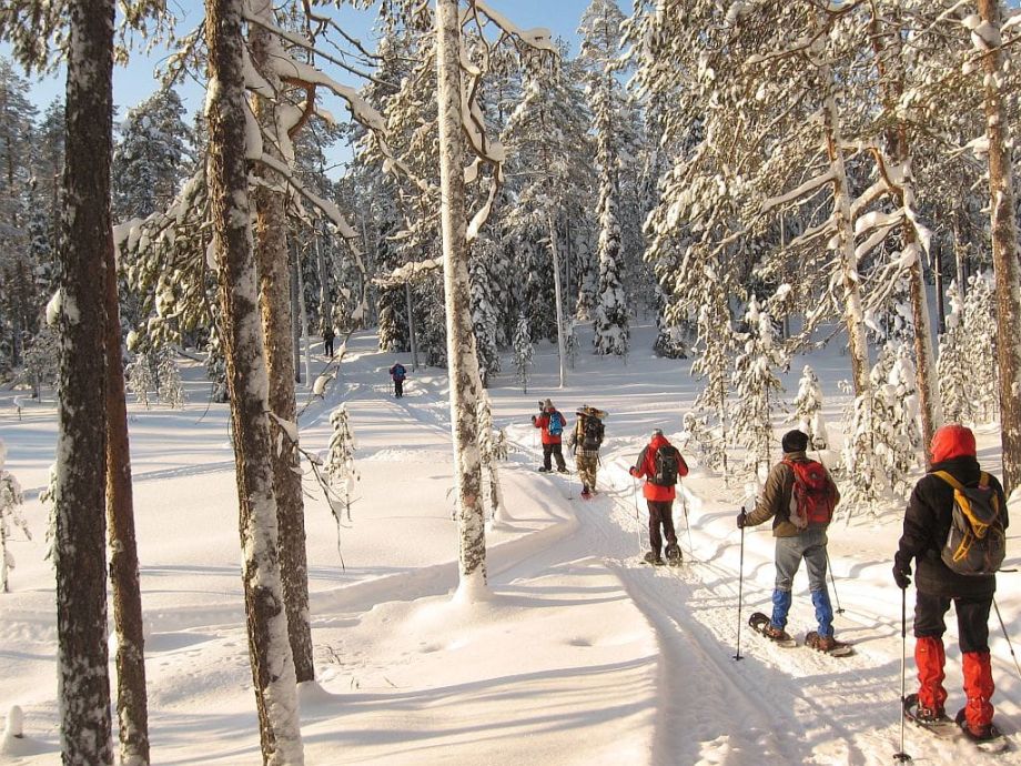 A queue of snowshoers on a trail through the forest. Trees are covered by snow and it is a sunny day.