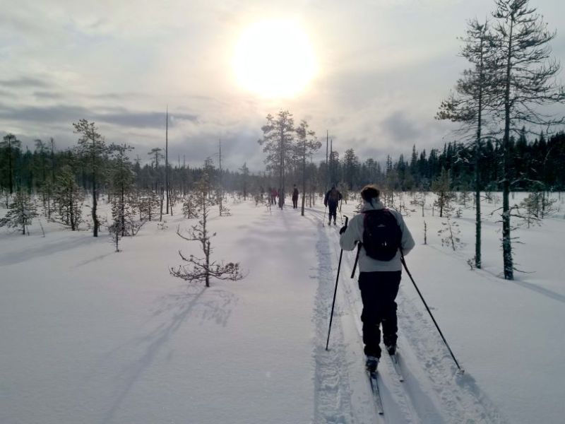 A queue of skiers in the Finnish wilderness