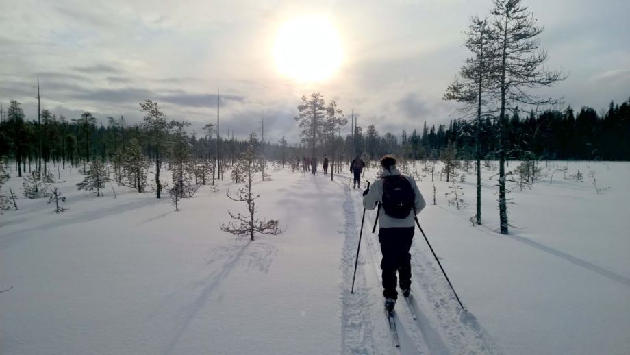 A queue of skiers in the Finnish wilderness heading towards the sun.