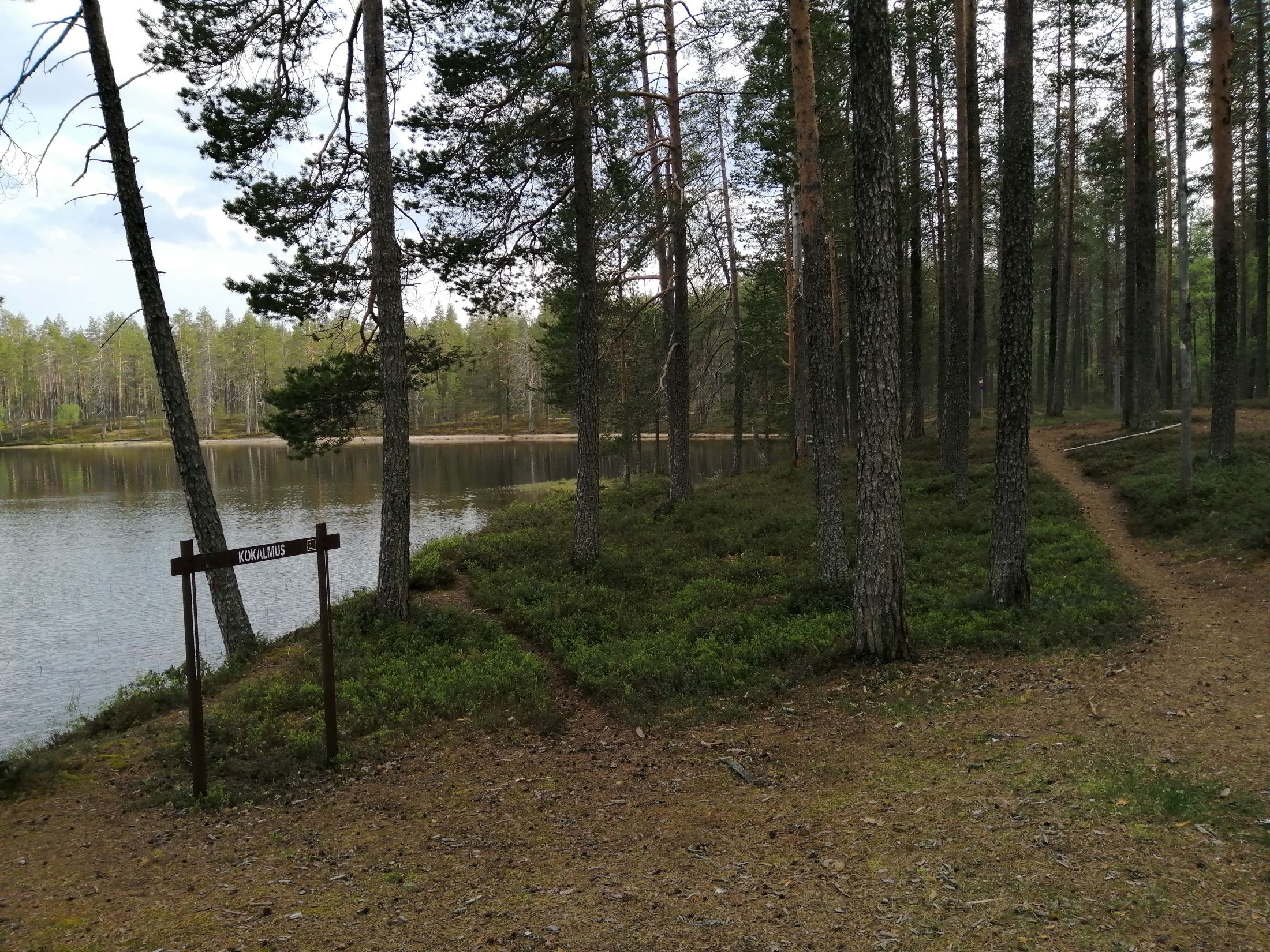 A path on the lake shore in Hossa national park