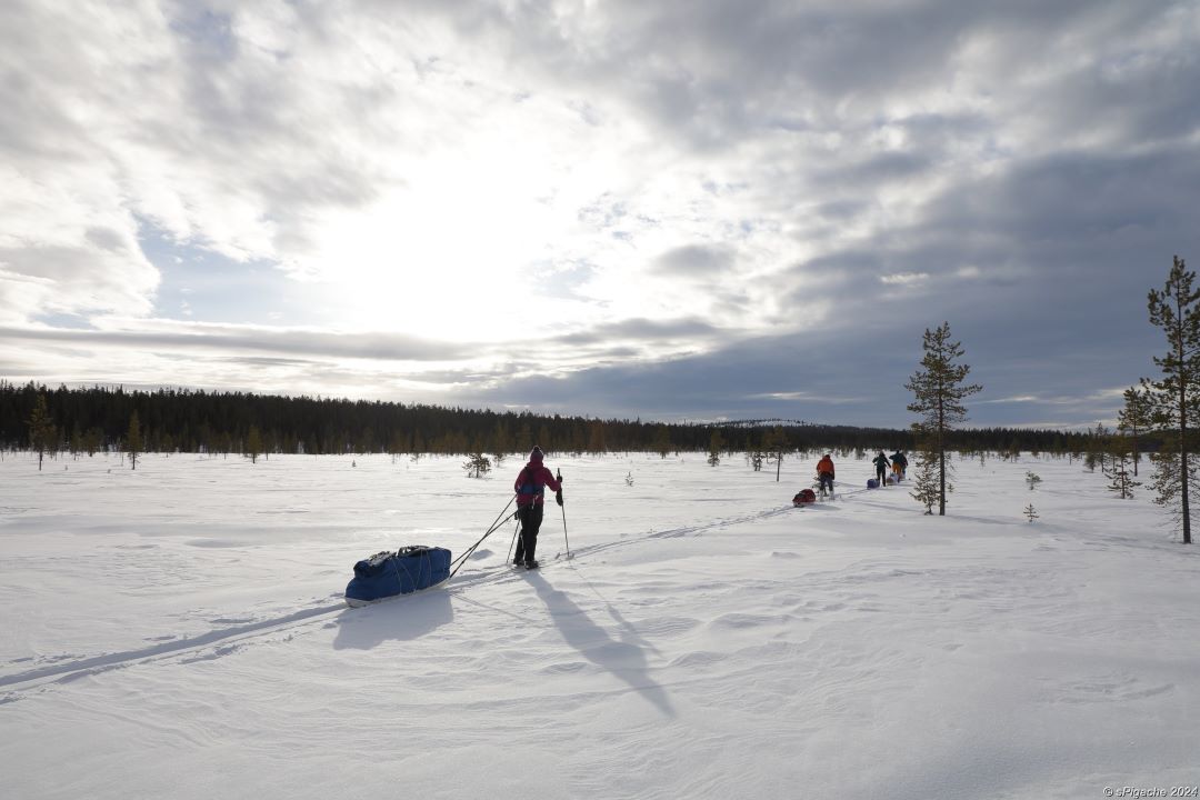 Skiers pulling sledges in Lapland.