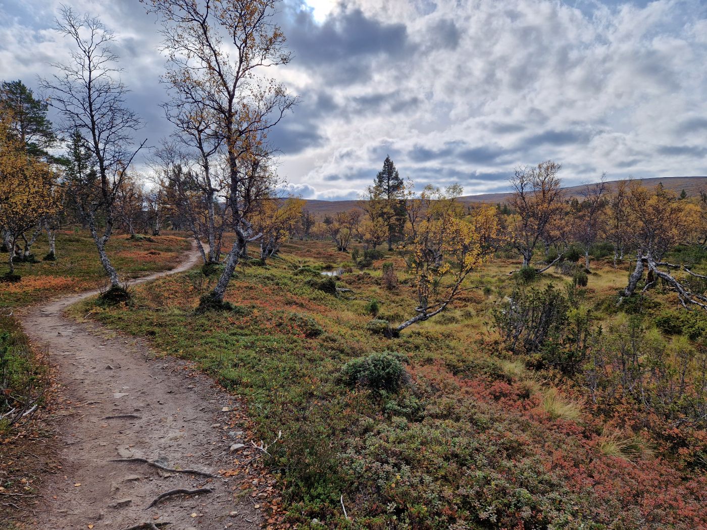 A path winding through fell landscape in autumn colours.