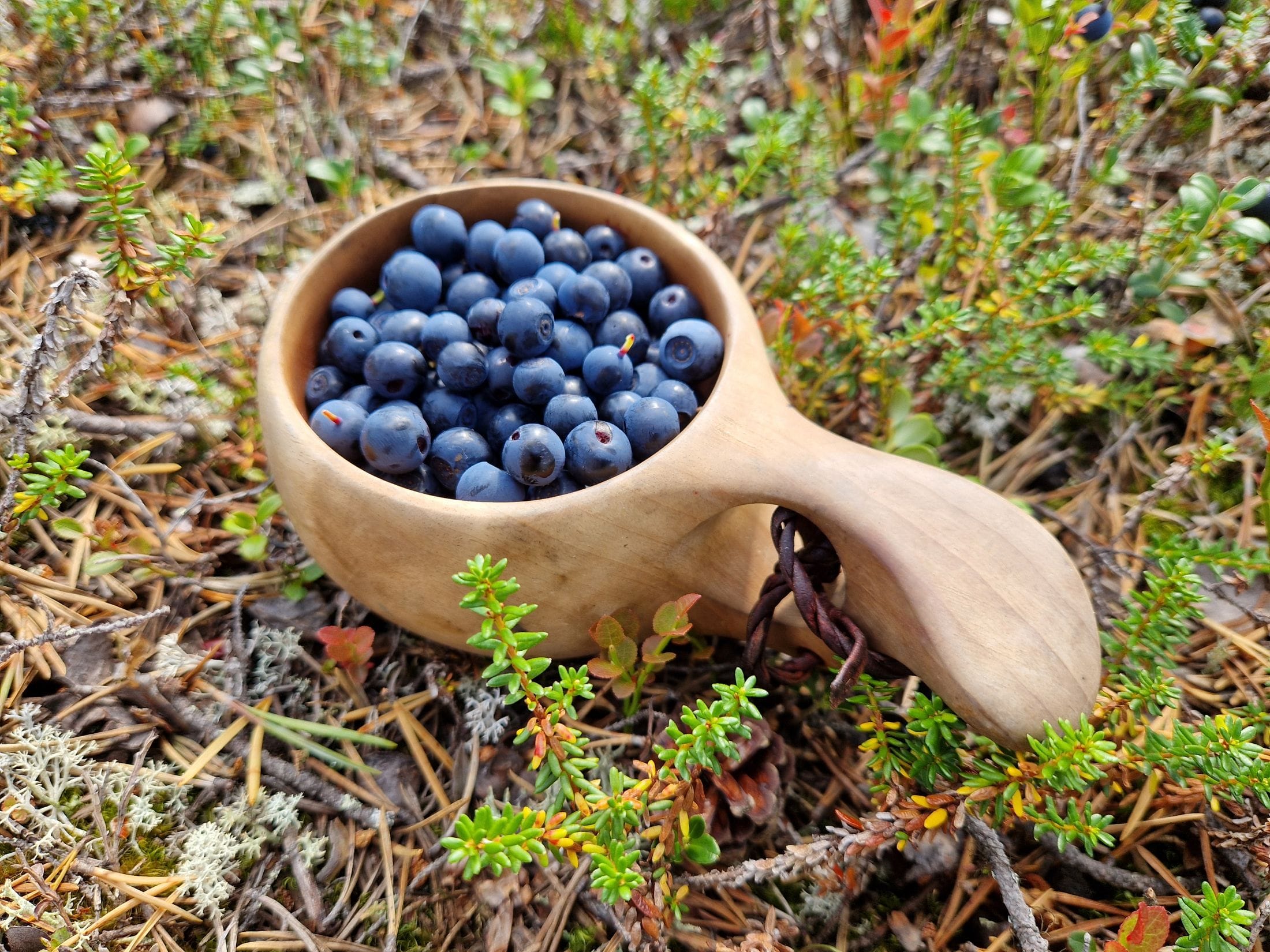 Blueberries in a cup