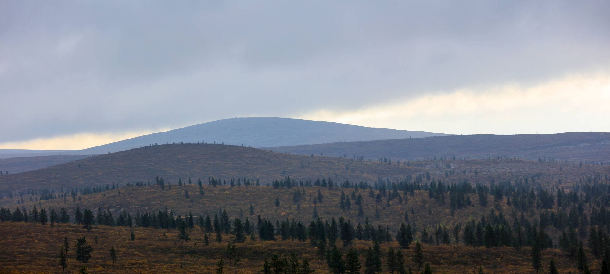 Fell scenery in UKK national park