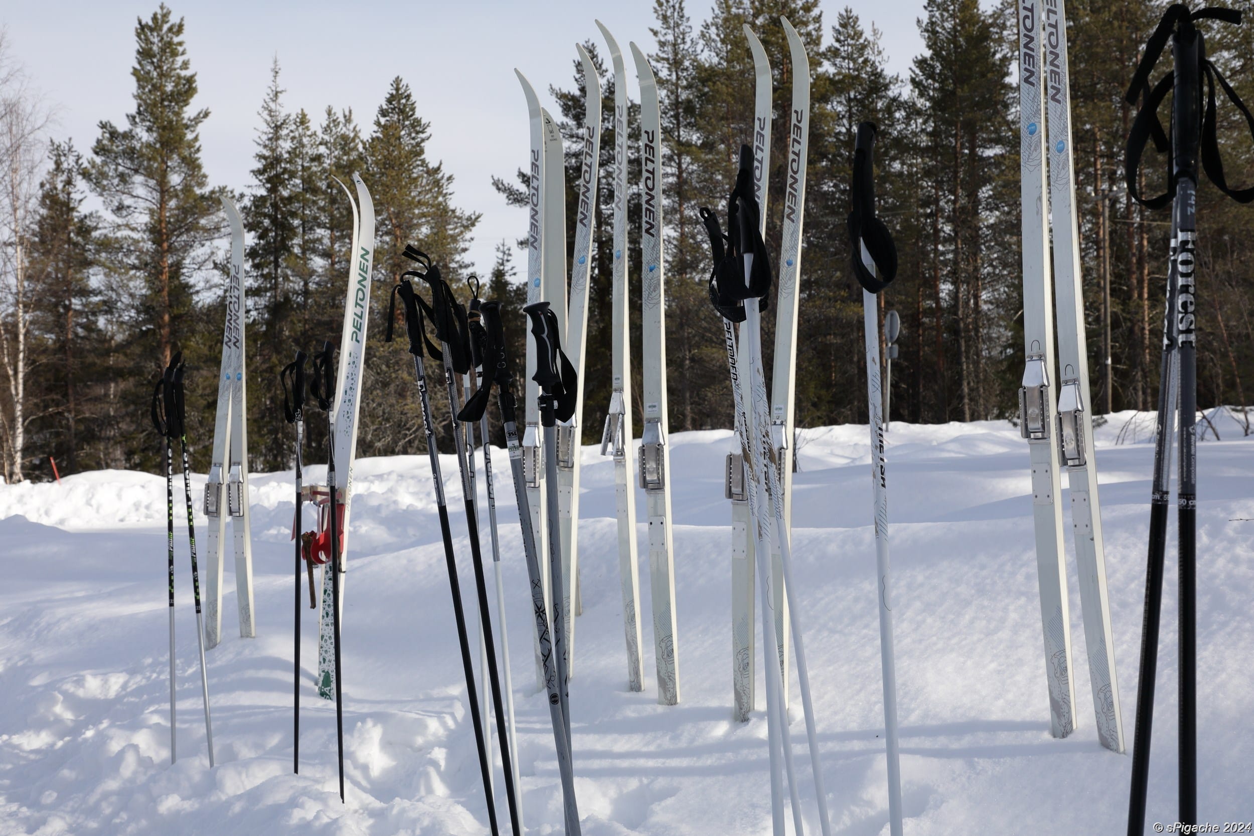 Skis in the snow