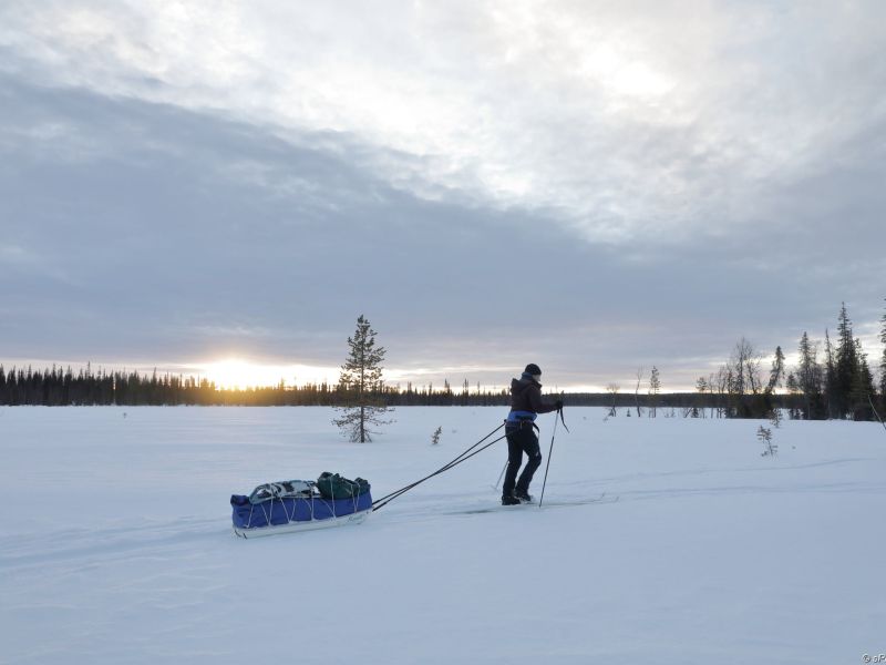 A skier pulling a pulk