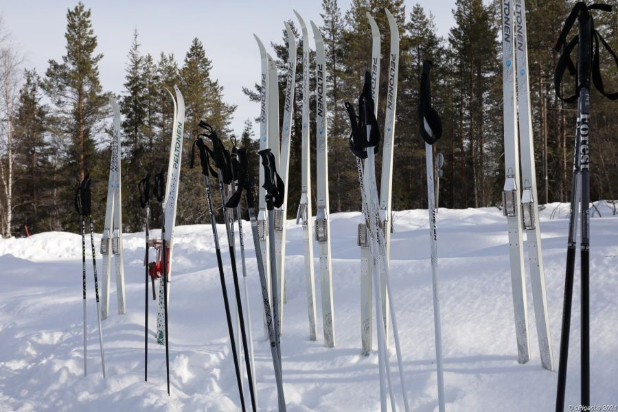 Skis in the snow