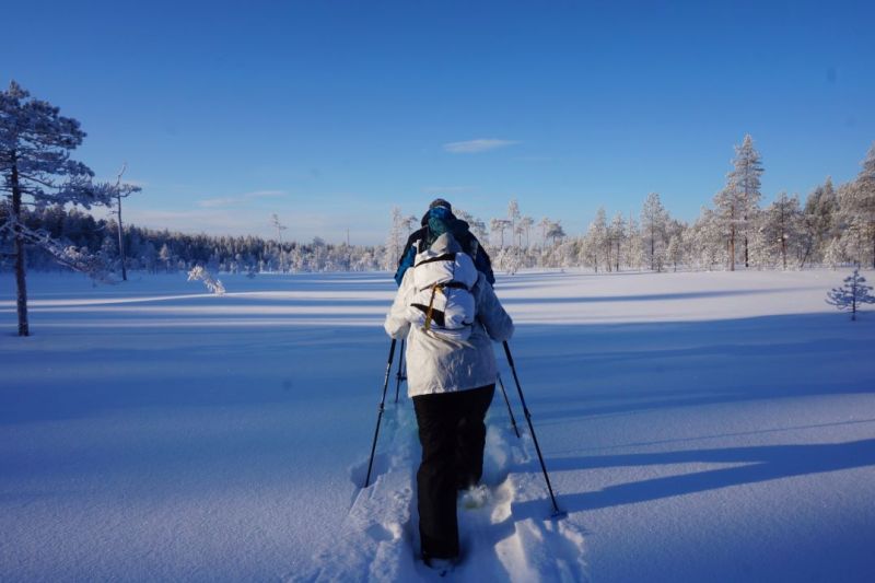 Snowshoers in the snow-white scenery