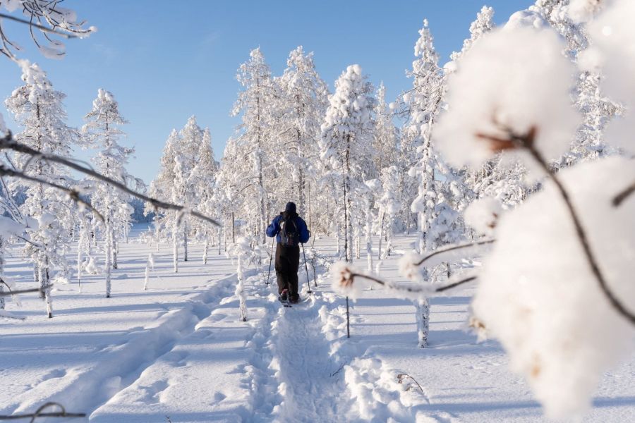 A man snowshoeing through a winter wonderland like forest