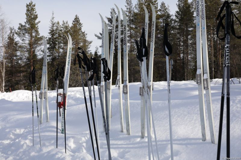 Skis in the snow